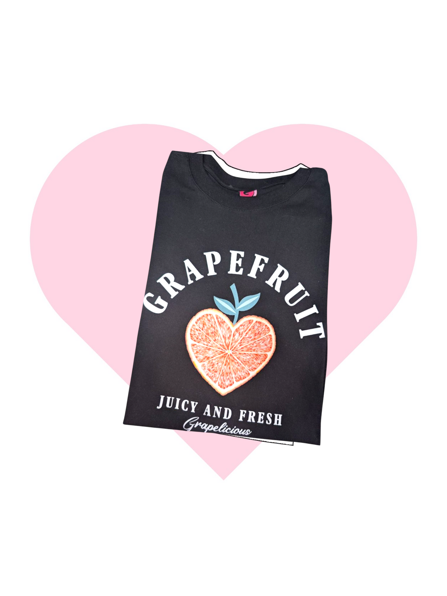 CAMISETA LOURDES